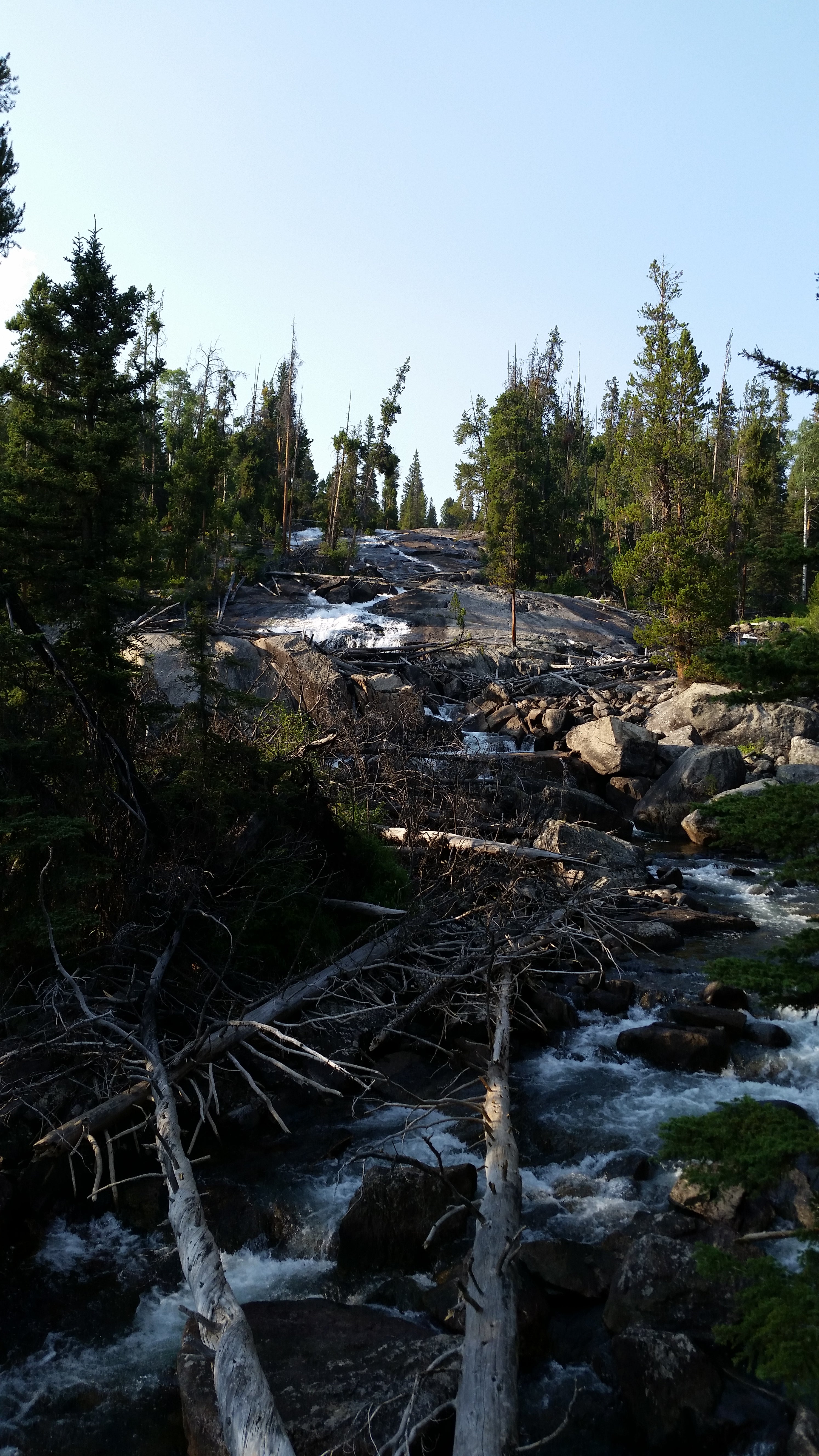 Camper submitted image from Shoshone National Forest Crazy Creek Campground - 4