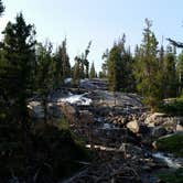 Review photo of Shoshone National Forest Crazy Creek Campground by Dexter I., September 30, 2020