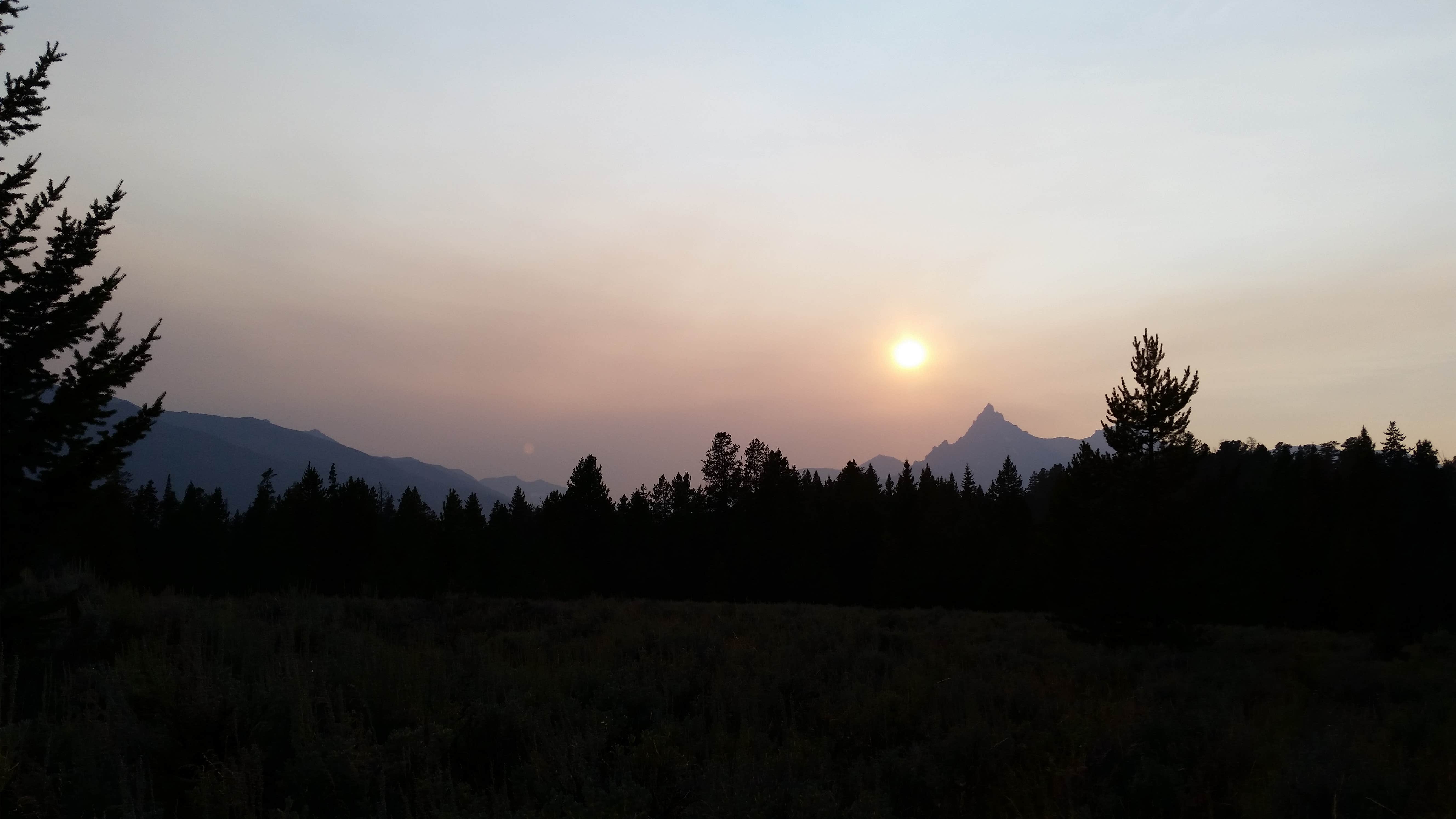 Camper submitted image from Shoshone National Forest Crazy Creek Campground - 2