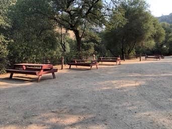 Camper-submitted photo at American River Resort near Auburn, CA