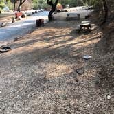 Review photo of American River Resort by April N., September 30, 2020