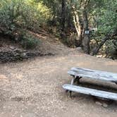 Review photo of American River Resort by April N., September 30, 2020