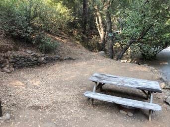 Camper submitted image from American River Resort - 2