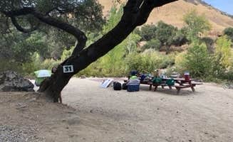 April N.'s photo at American River Resort near Placerville, CA