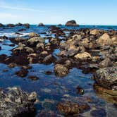 Review photo of Salt Point State Park Campground by MarinMaverick , August 12, 2020