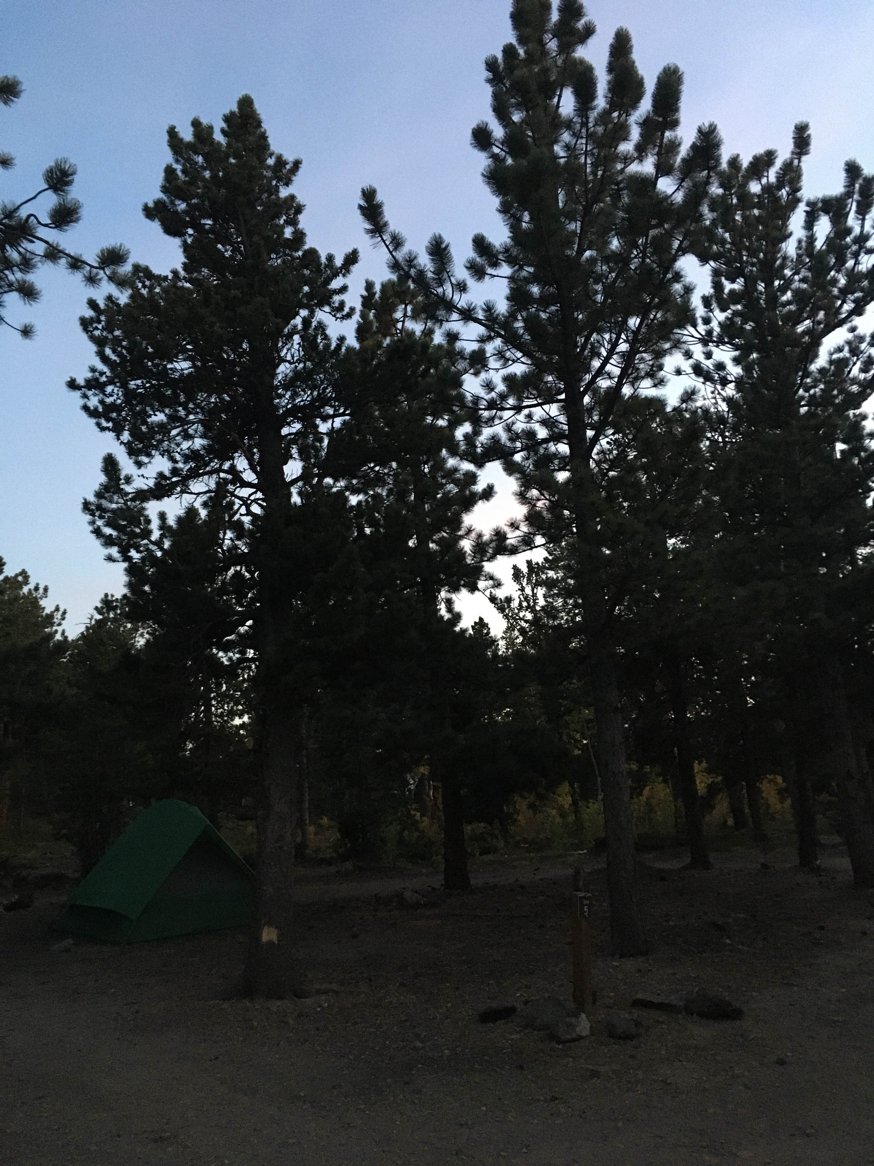 Jeni N.'s photo of tent camping at Gordon Gulch Dispersed Area near Henderson, CO