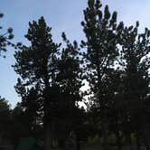 Review photo of Gordon Gulch Dispersed Area by Jeni N., September 30, 2020