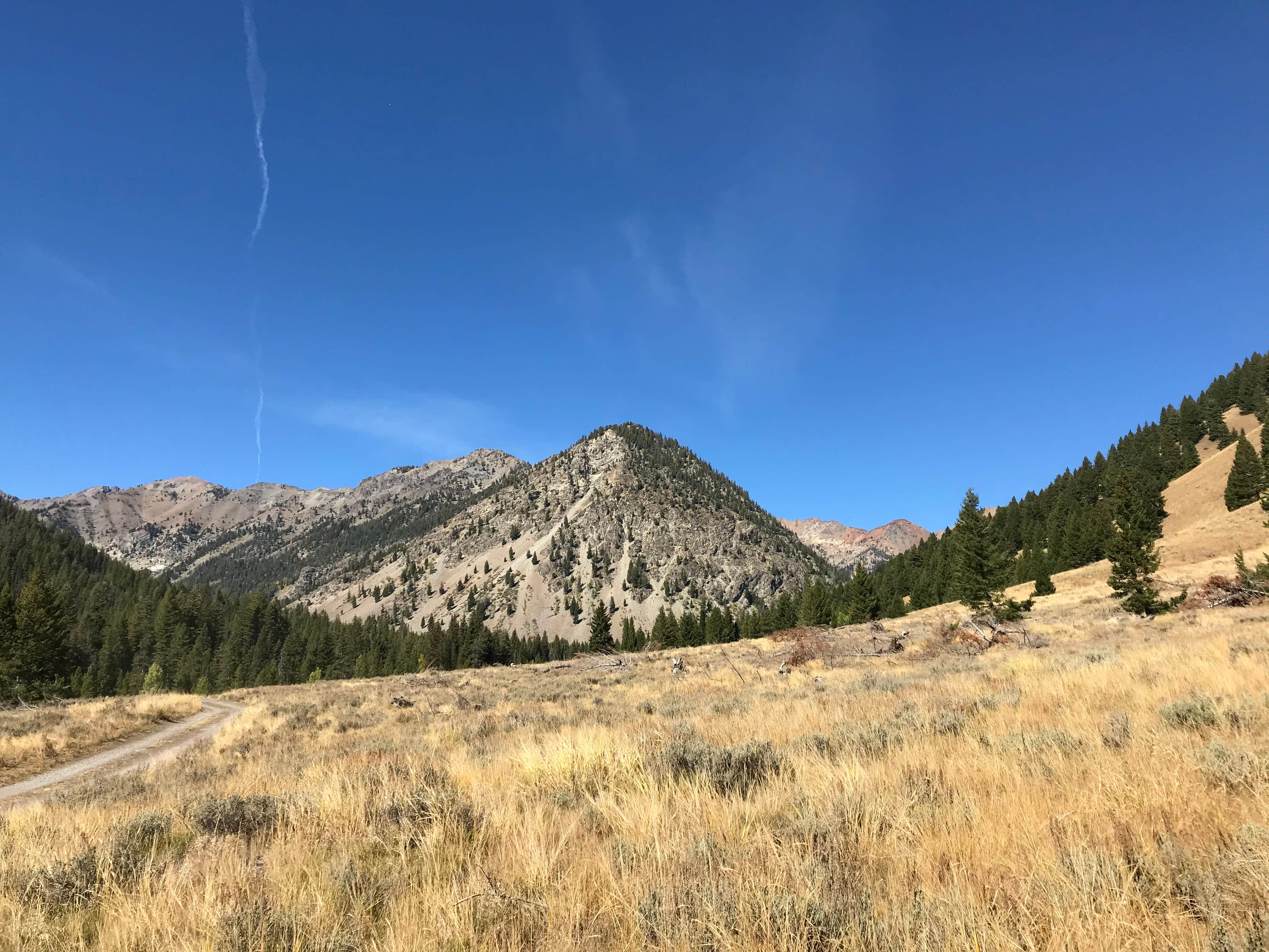 Camper-submitted photo at Cougar Dispersed Camping Area near Sun Valley, ID