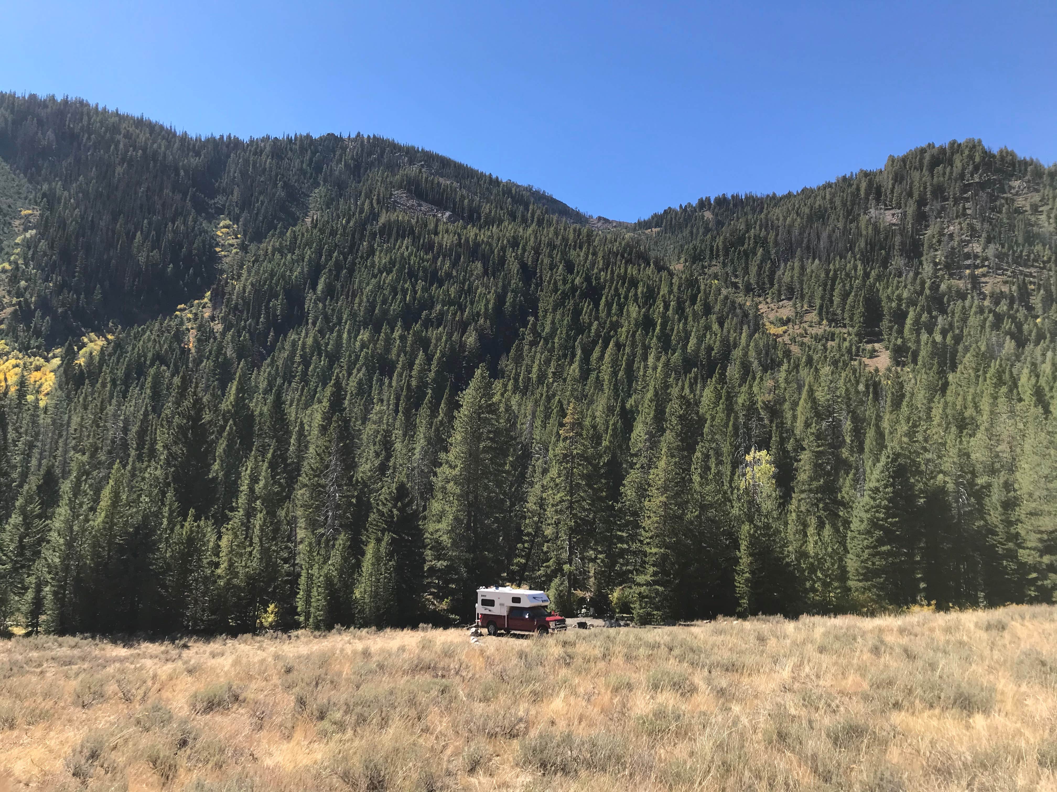 Camper-submitted photo at Cougar Dispersed Camping Area near Sun Valley, ID