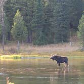 Review photo of Flatrock Campground by Alice S., September 30, 2020