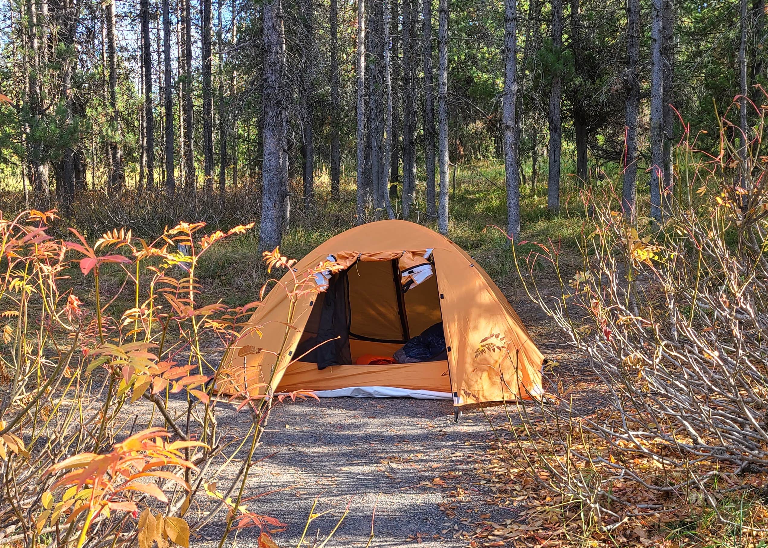 Flatrock Campground Camping | The Dyrt