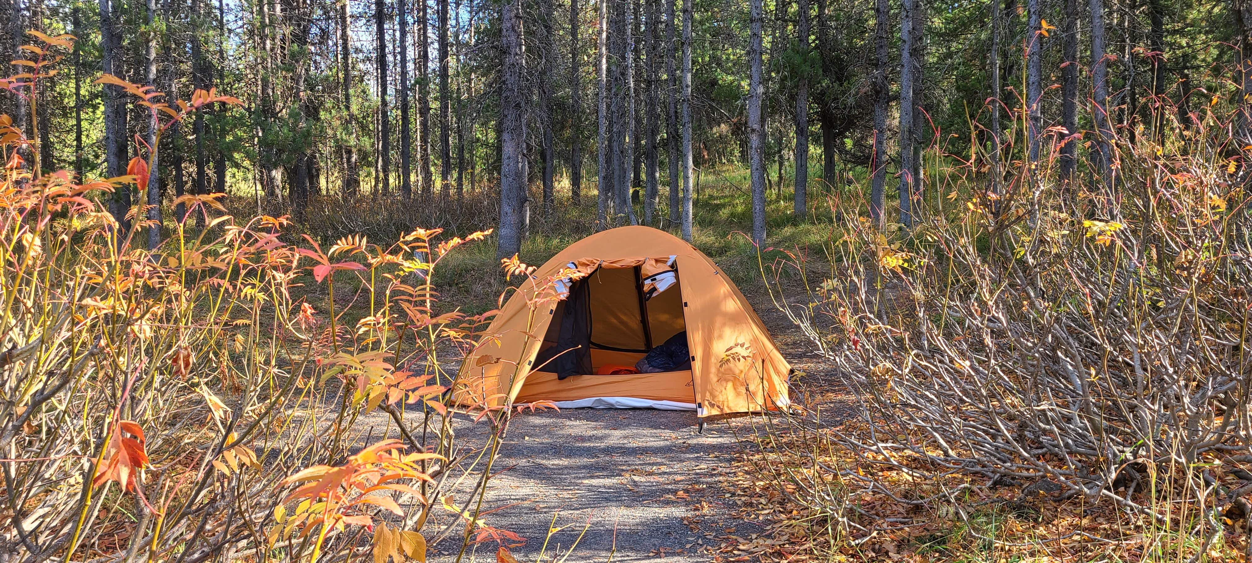 Camper submitted image from Flatrock Campground - 1