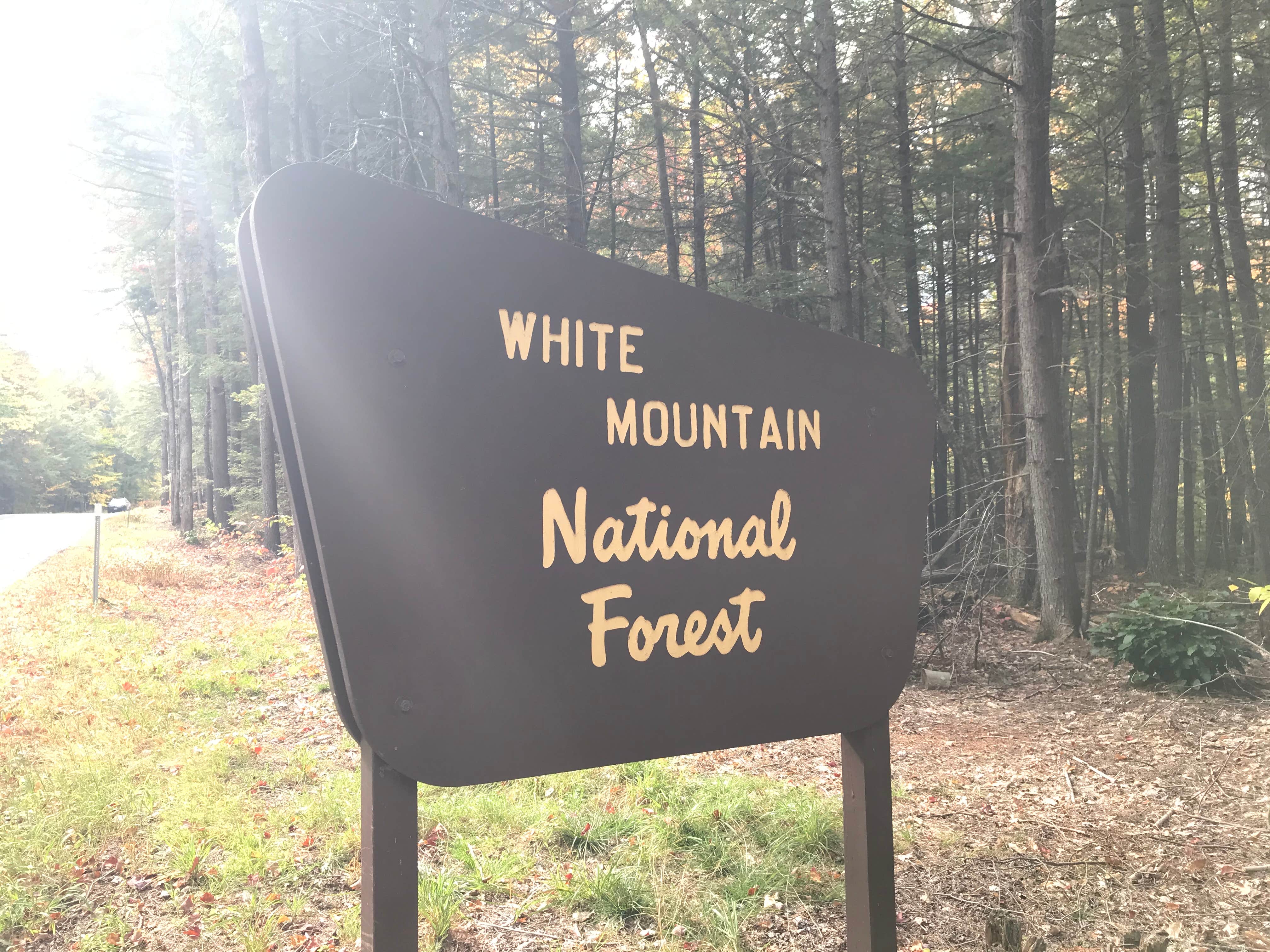 Camper-submitted photo at Lakeside Pines Campground near Greenwood, ME