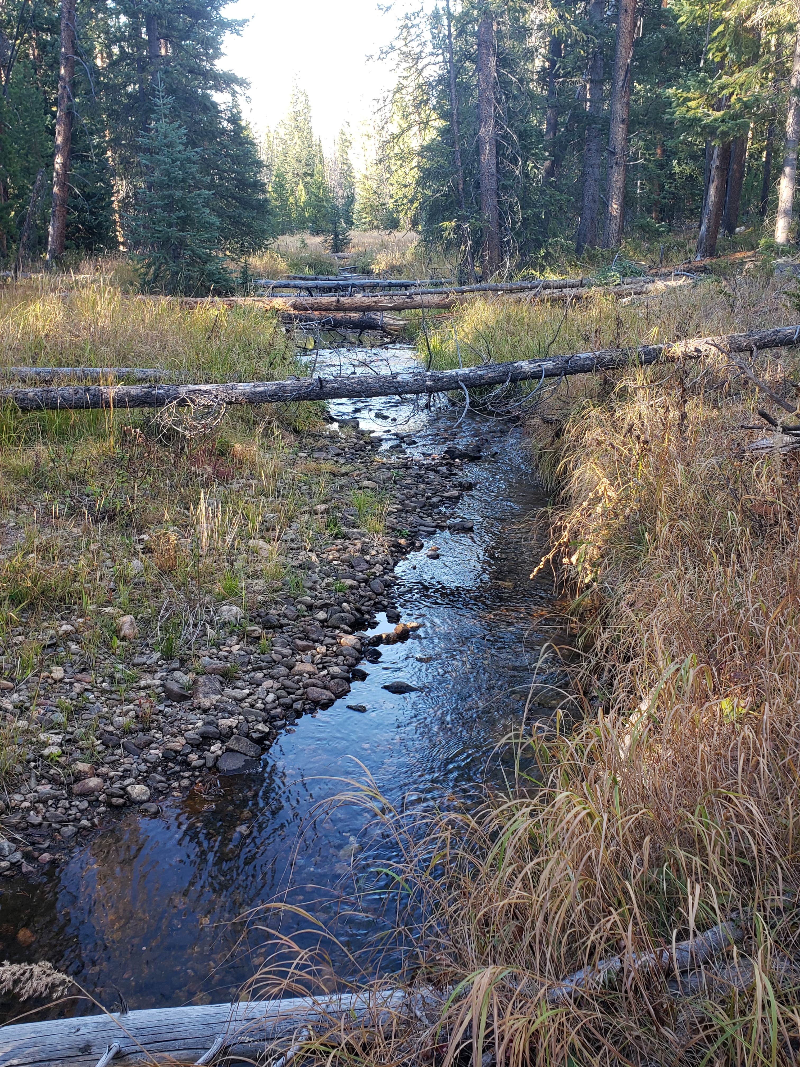 Camper-submitted photo at Winding River Resort near Gould, CO
