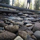 Review photo of Winding River Resort by Christopher W., September 30, 2020