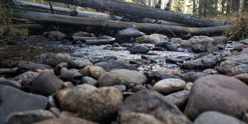 Camper submitted image from Winding River Resort