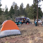 Review photo of Fr 9350 Campground by Christina L., September 30, 2020