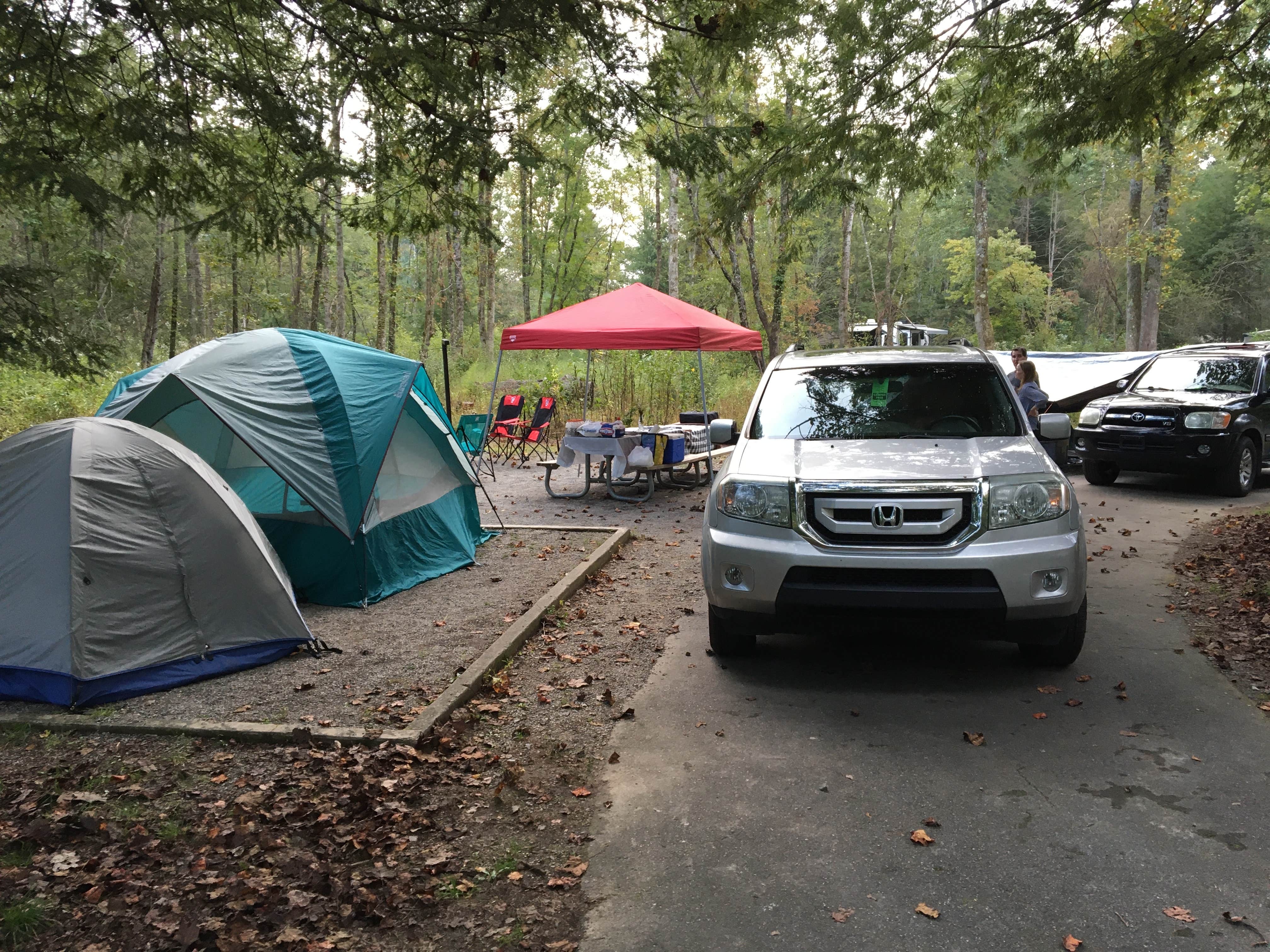 Amy's photo at Davidson River Campground near Horse Shoe, NC