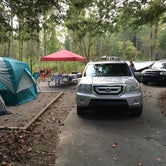 Review photo of Davidson River Campground by Amy , September 30, 2020