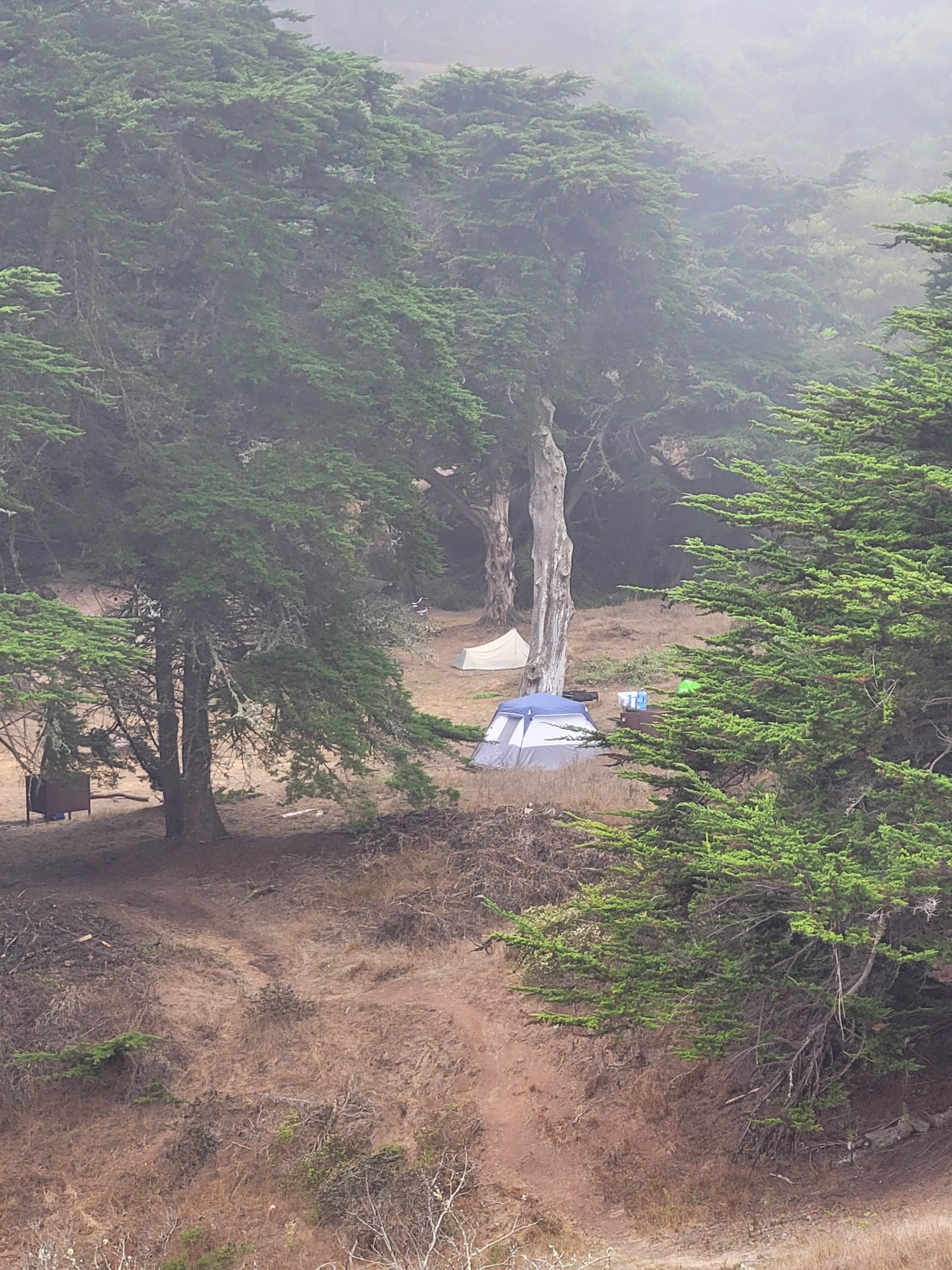 Jasim ِ.'s photo of tent camping at Bicentennial Campground — Golden Gate National Recreation Area near Pittsburg, CA