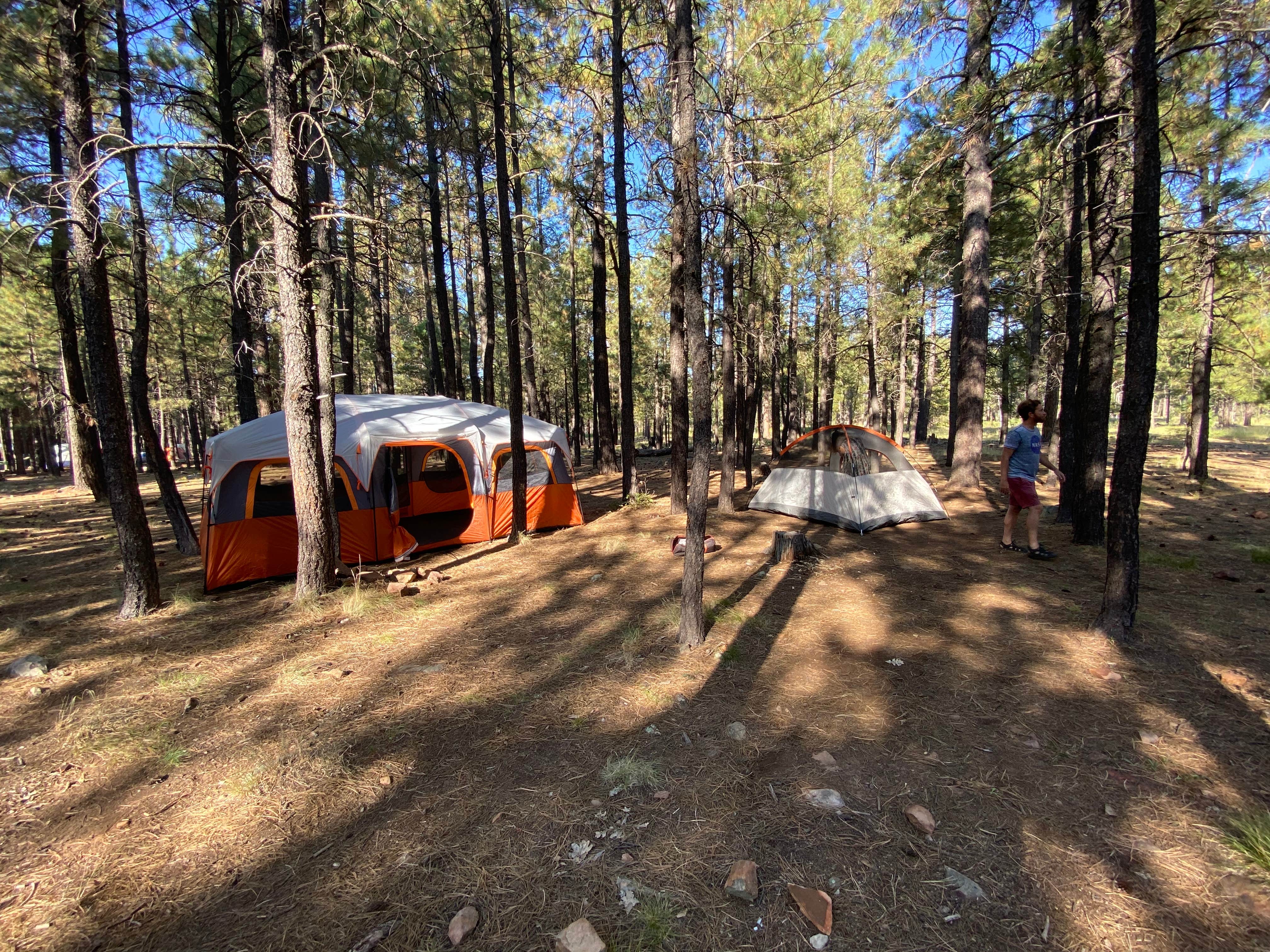 Myles's photo at Sinkhole Campground near Young, AZ