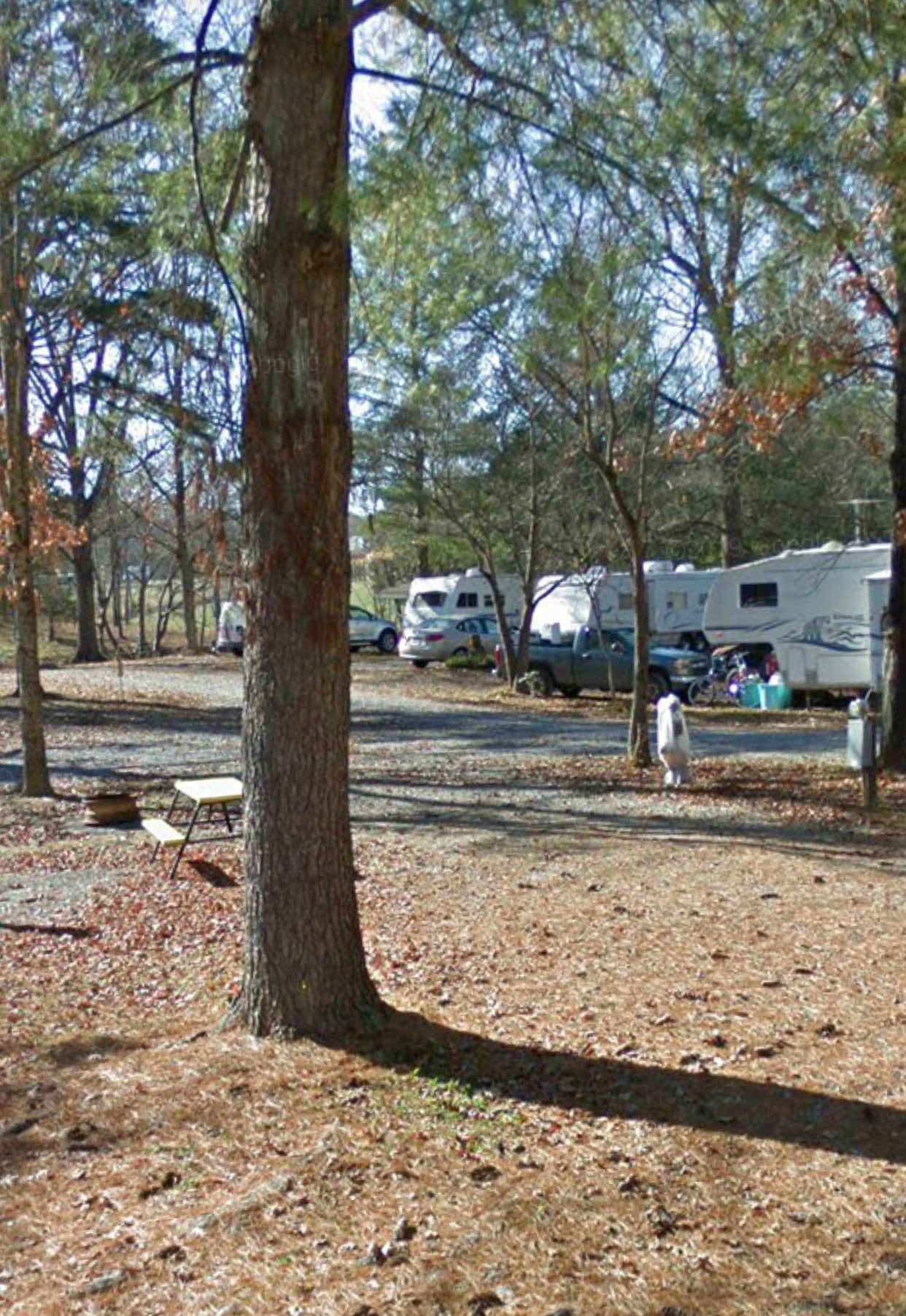 Camper-submitted photo at Newport-Smoky Mountains KOA near Talbott, TN
