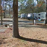 Review photo of Newport-Smoky Mountains KOA by Laura H., September 30, 2020