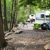Review photo of Townsend-Great Smokies KOA by Laura H., September 30, 2020