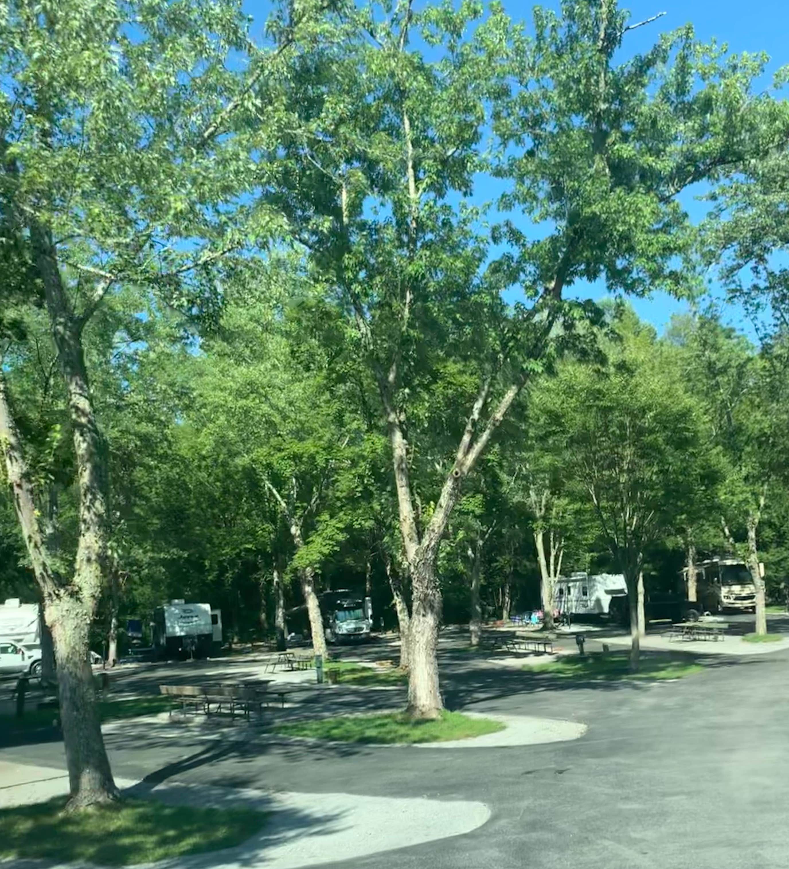 Camping near Elkmont Campground — Great Smoky Mountains National Park: Twin Creek RV Resort, Gatlinburg, Tennessee