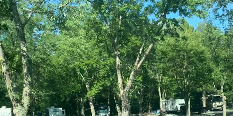 Camper submitted image from Twin Creek RV Resort