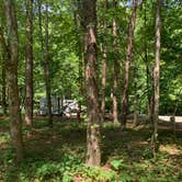 Review photo of Rock Island State Park Campground by Nate H., September 30, 2020