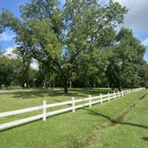 Review photo of Michael Tucker Memorial Park & Chief Ladiga Trail by Asher K., September 30, 2020