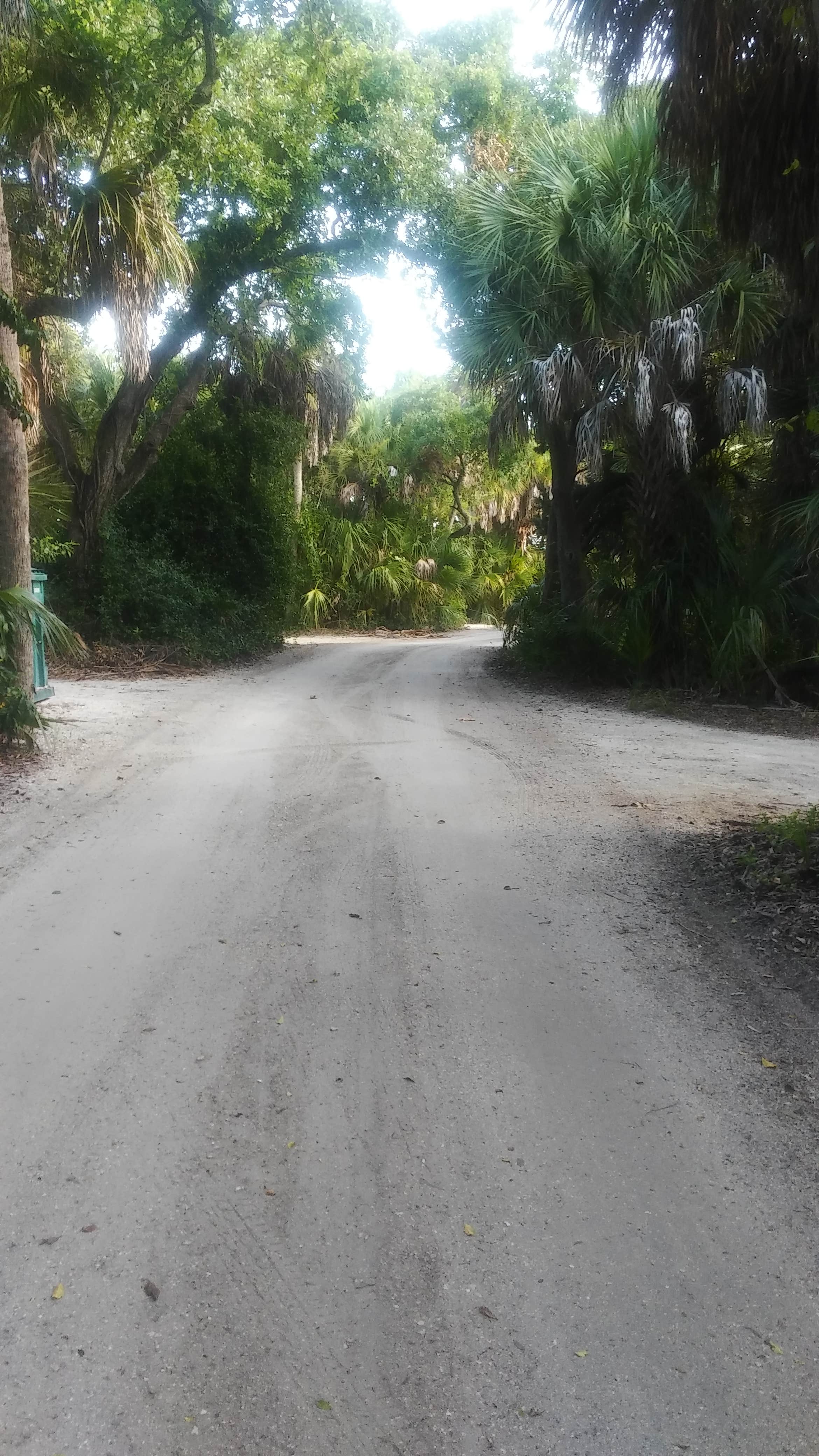 Camper submitted image from Fort De Soto Campground - 4