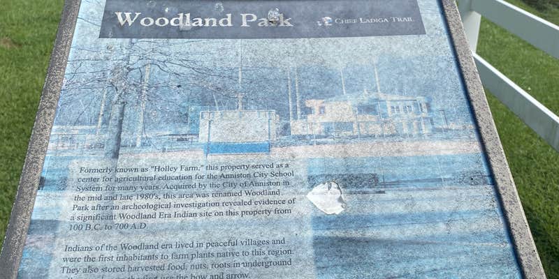 Camper submitted image from Michael Tucker Memorial Park & Chief Ladiga Trail