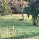 Review photo of Cedar Point at Milford Lake State Park Campground by Shannon G., September 30, 2020