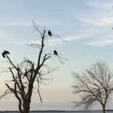 Review photo of Cedar Point at Milford Lake State Park Campground by Shannon G., September 30, 2020