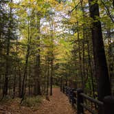 Review photo of Copper Falls State Park Campground by Kim , September 30, 2020