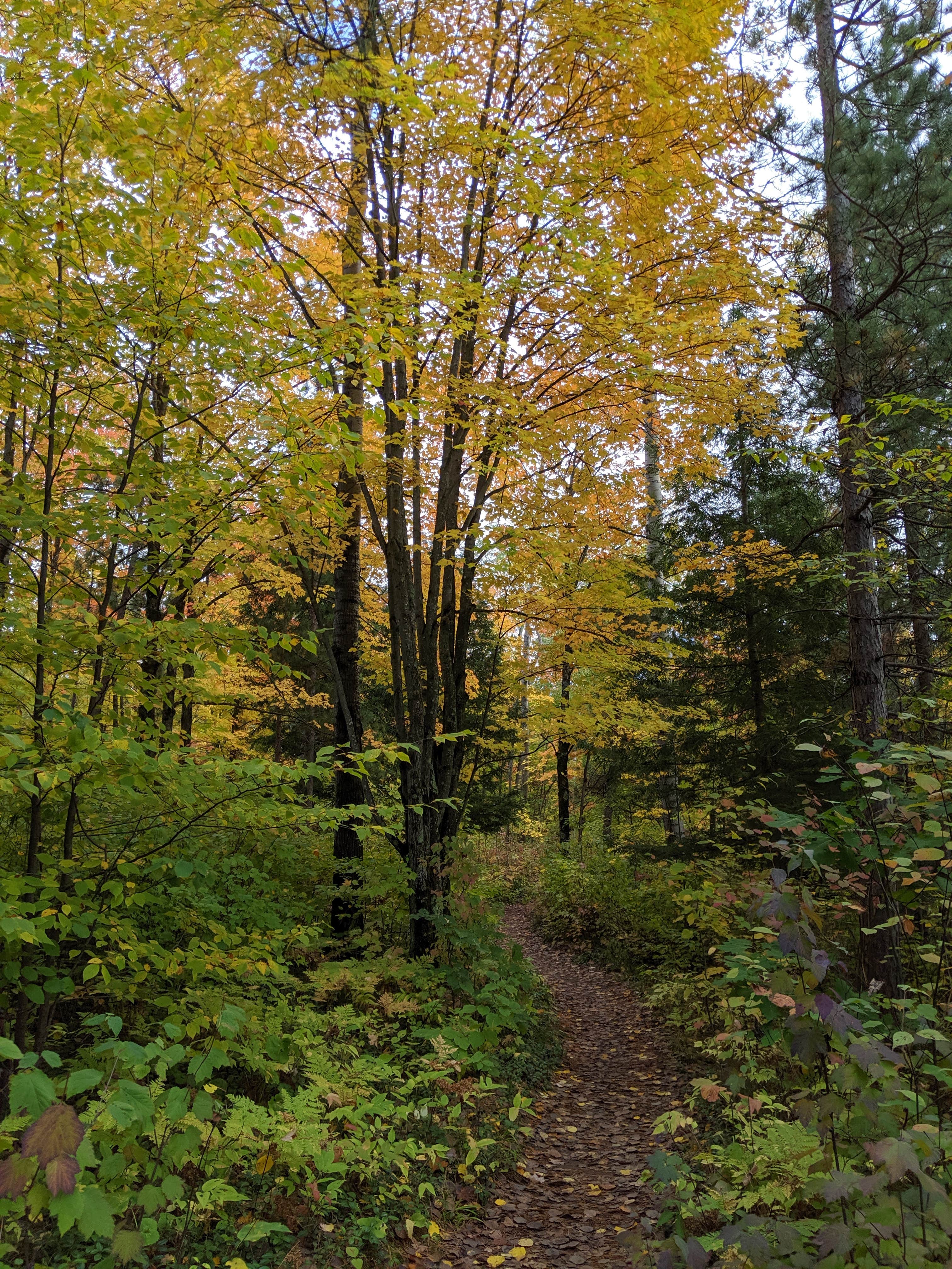 Camper-submitted photo at Potato River Falls Campground near Upson, WI