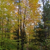Review photo of Potato River Falls Campground by Kim , October 1, 2020