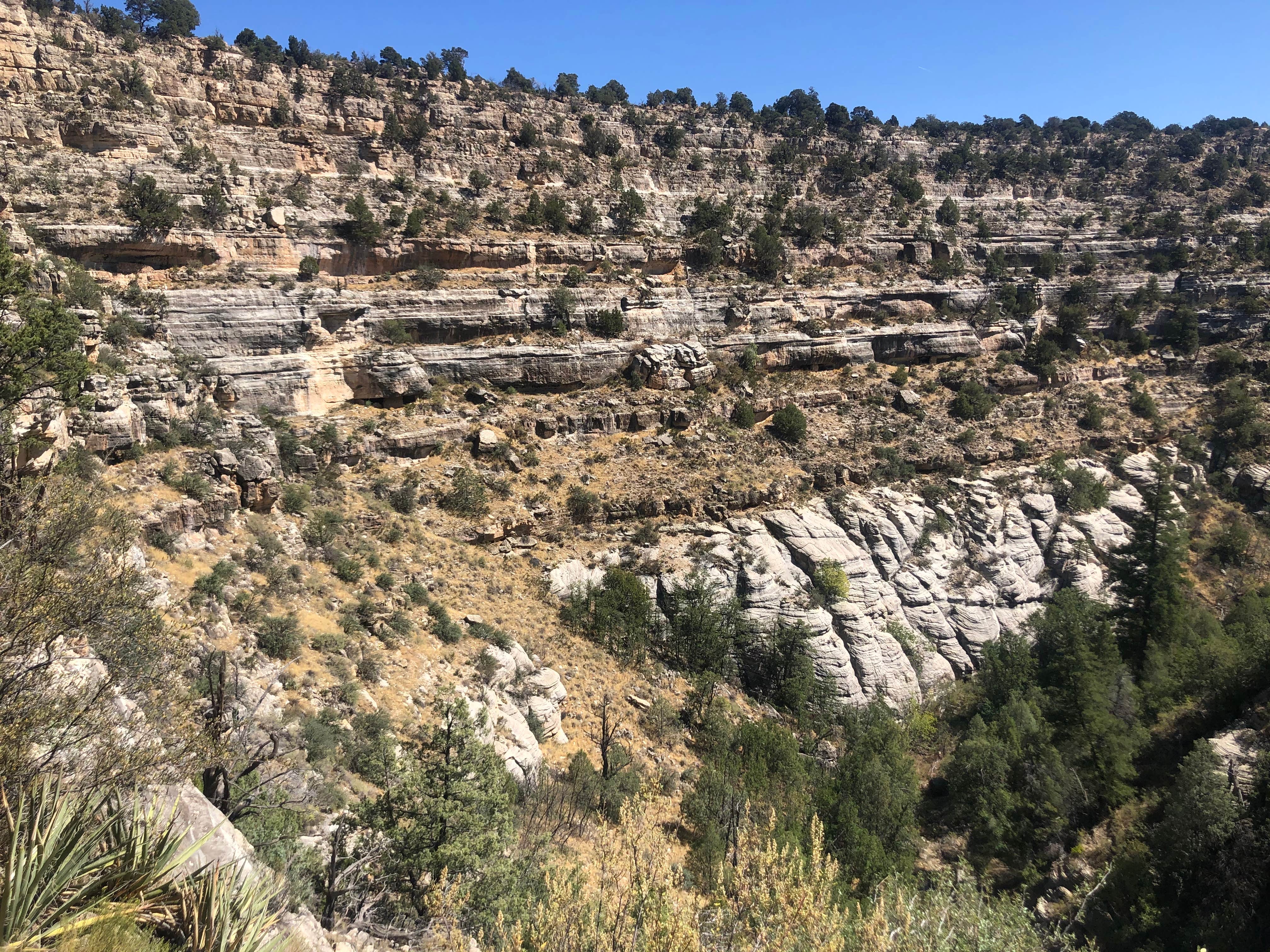 Camper-submitted photo at Walnut Canyon Rd Dispersed Camping - CLOSED UNTIL 2025 near Mormon Lake, AZ