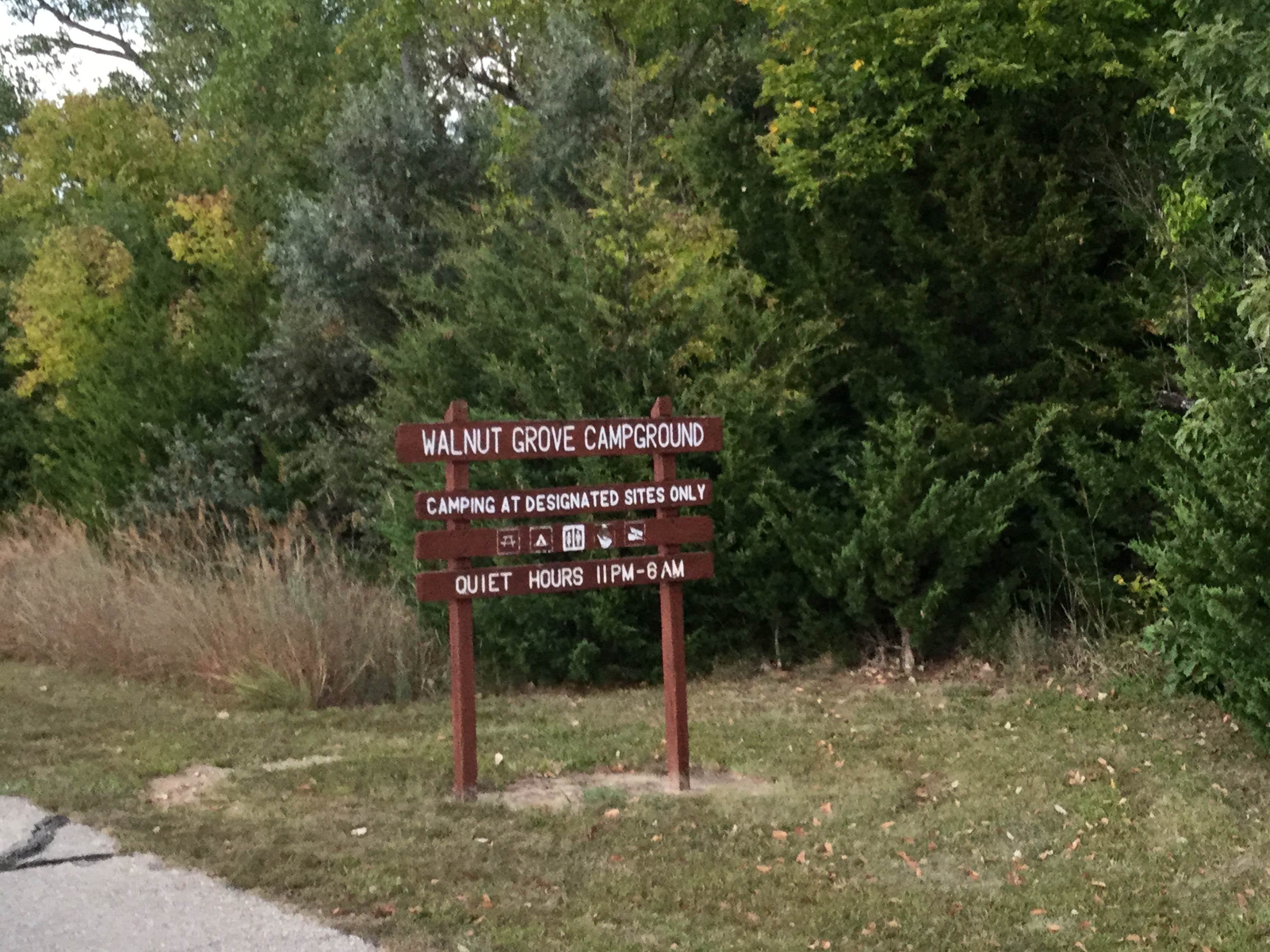 Camper submitted image from Walnut Grove — Milford State Park - 2