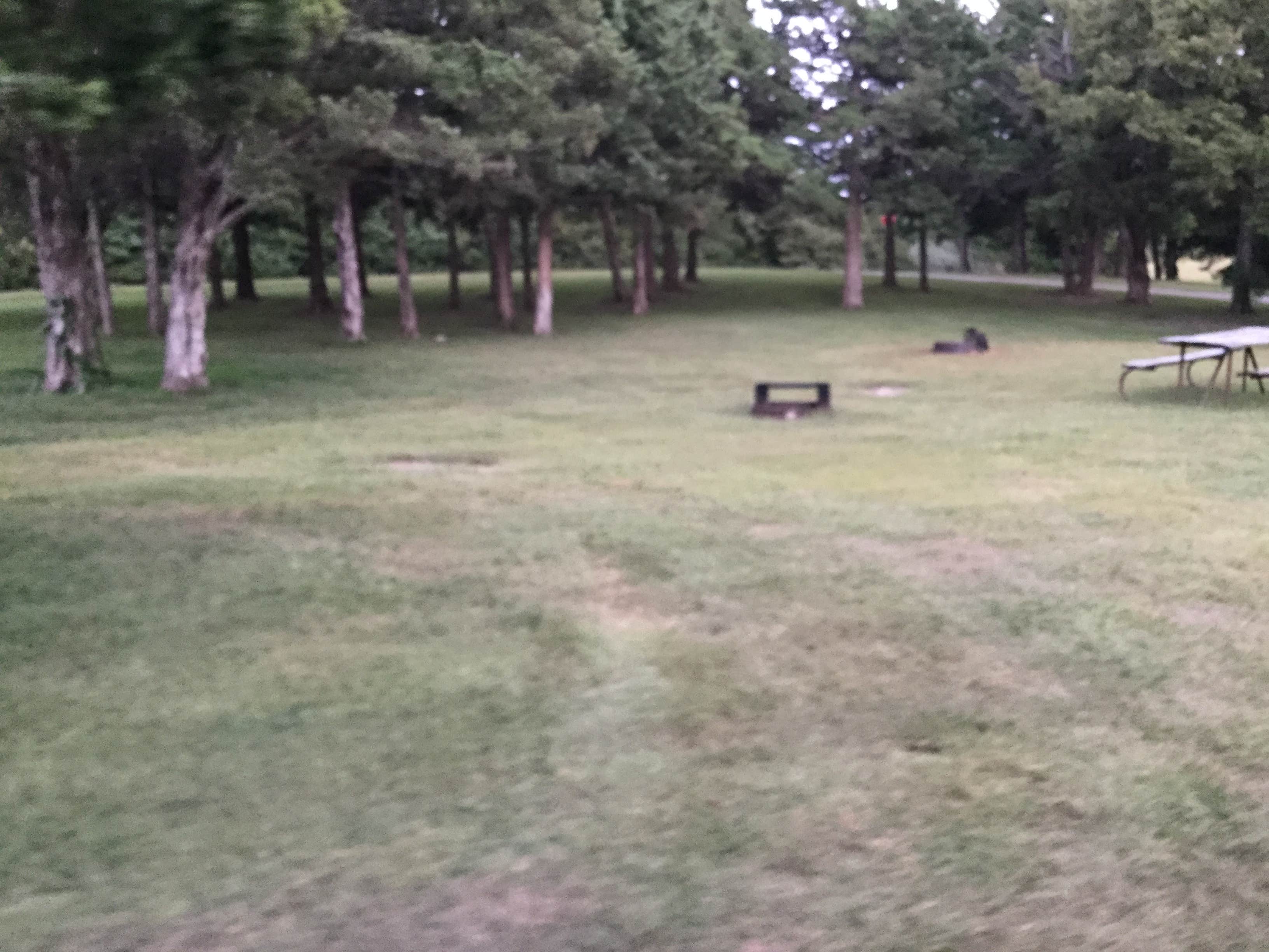 Camper-submitted photo at Walnut Grove — Milford State Park near Minneapolis, KS