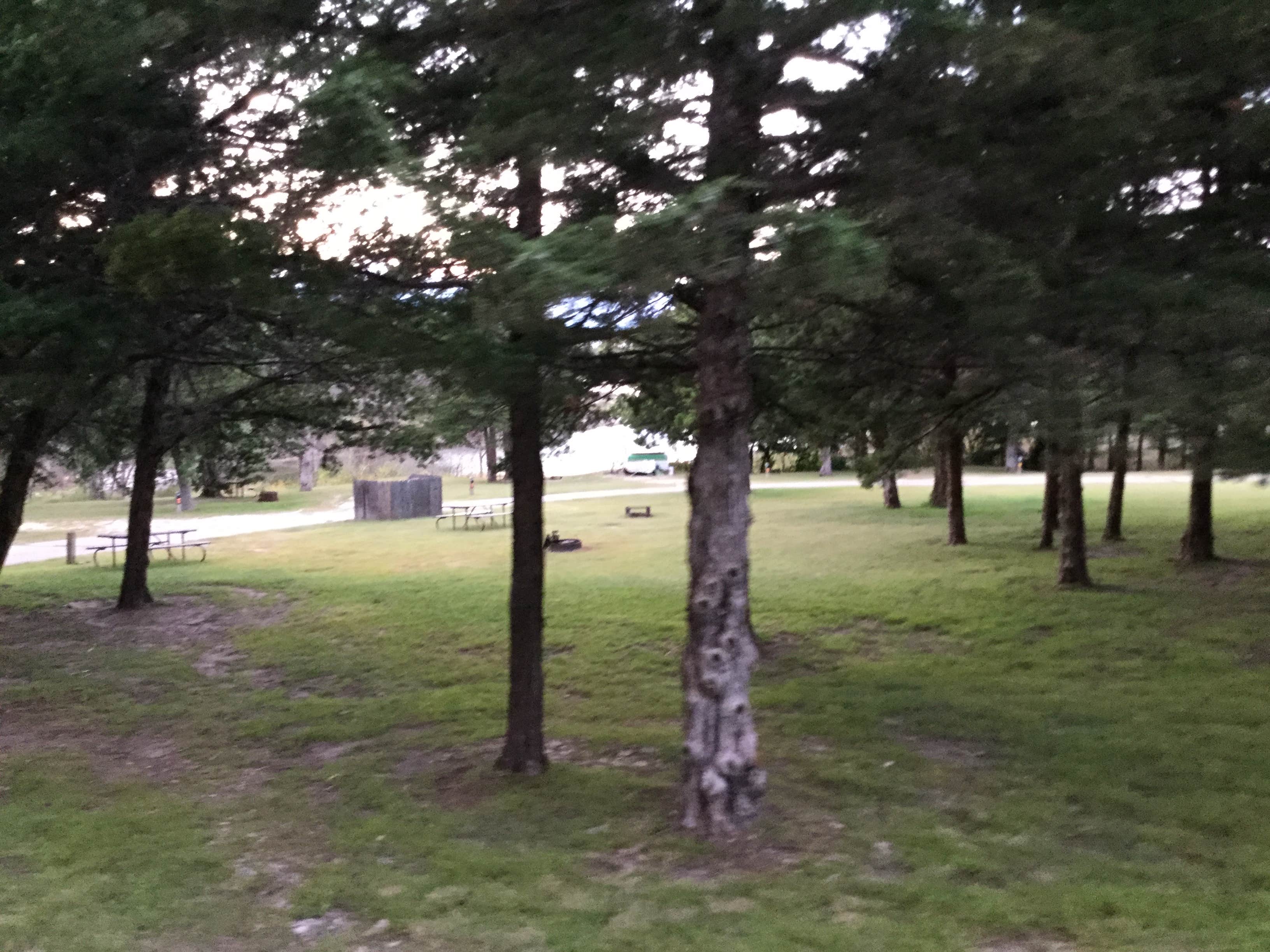 Camper-submitted photo at Walnut Grove — Milford State Park near Minneapolis, KS