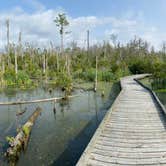 Review photo of Goose Creek State Park Campground by Sara H., October 1, 2020