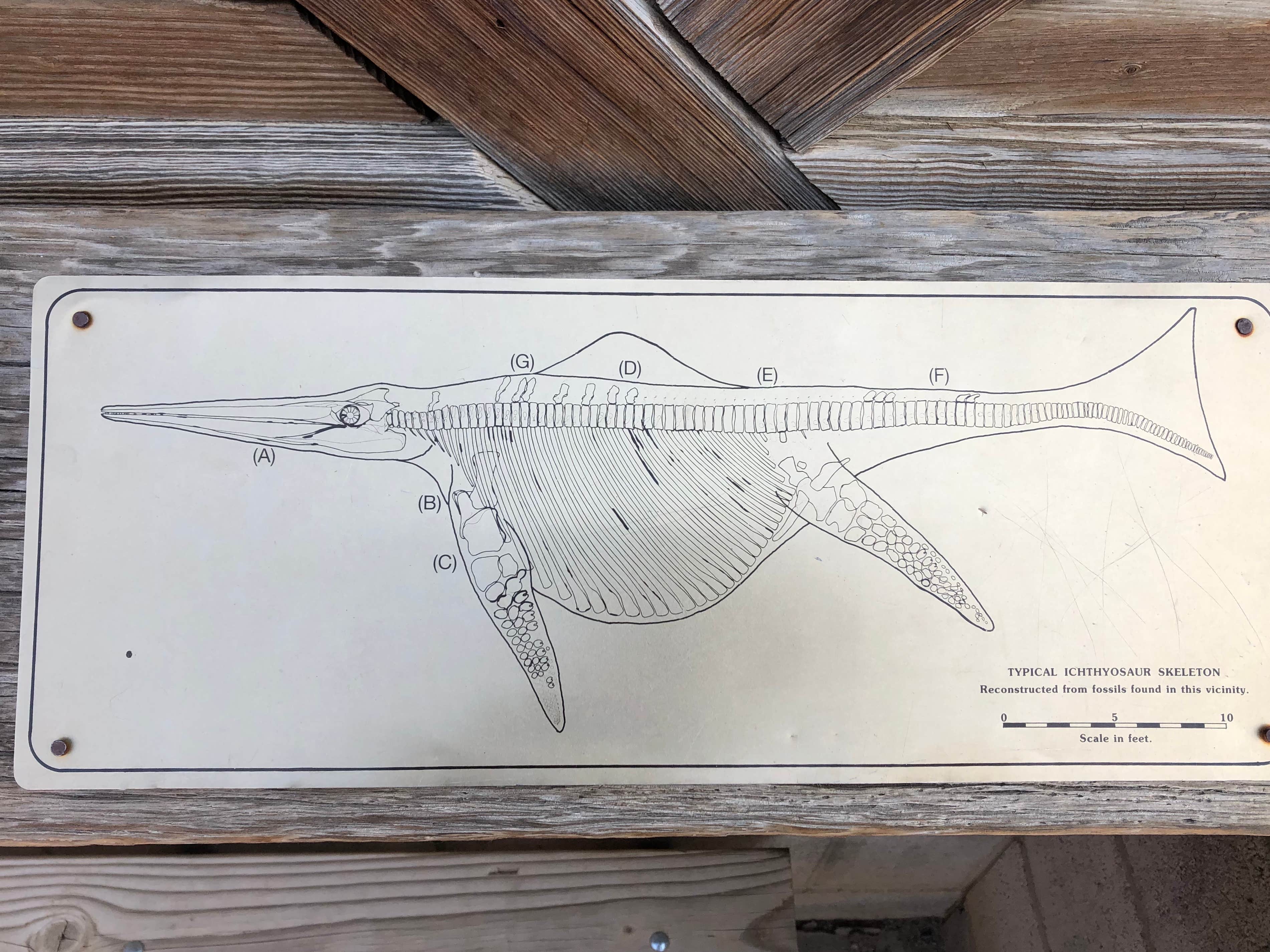 Camper-submitted photo at Berlin-Ichthyosaur State Park near Round Mountain, NV