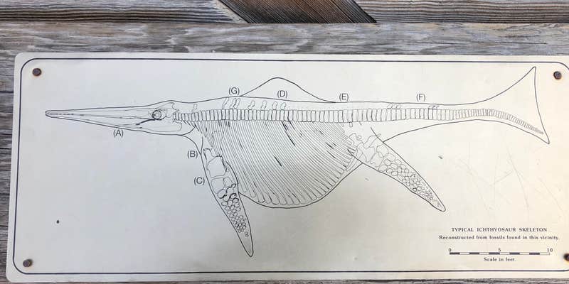 Camper submitted image from Berlin-Ichthyosaur State Park Campground