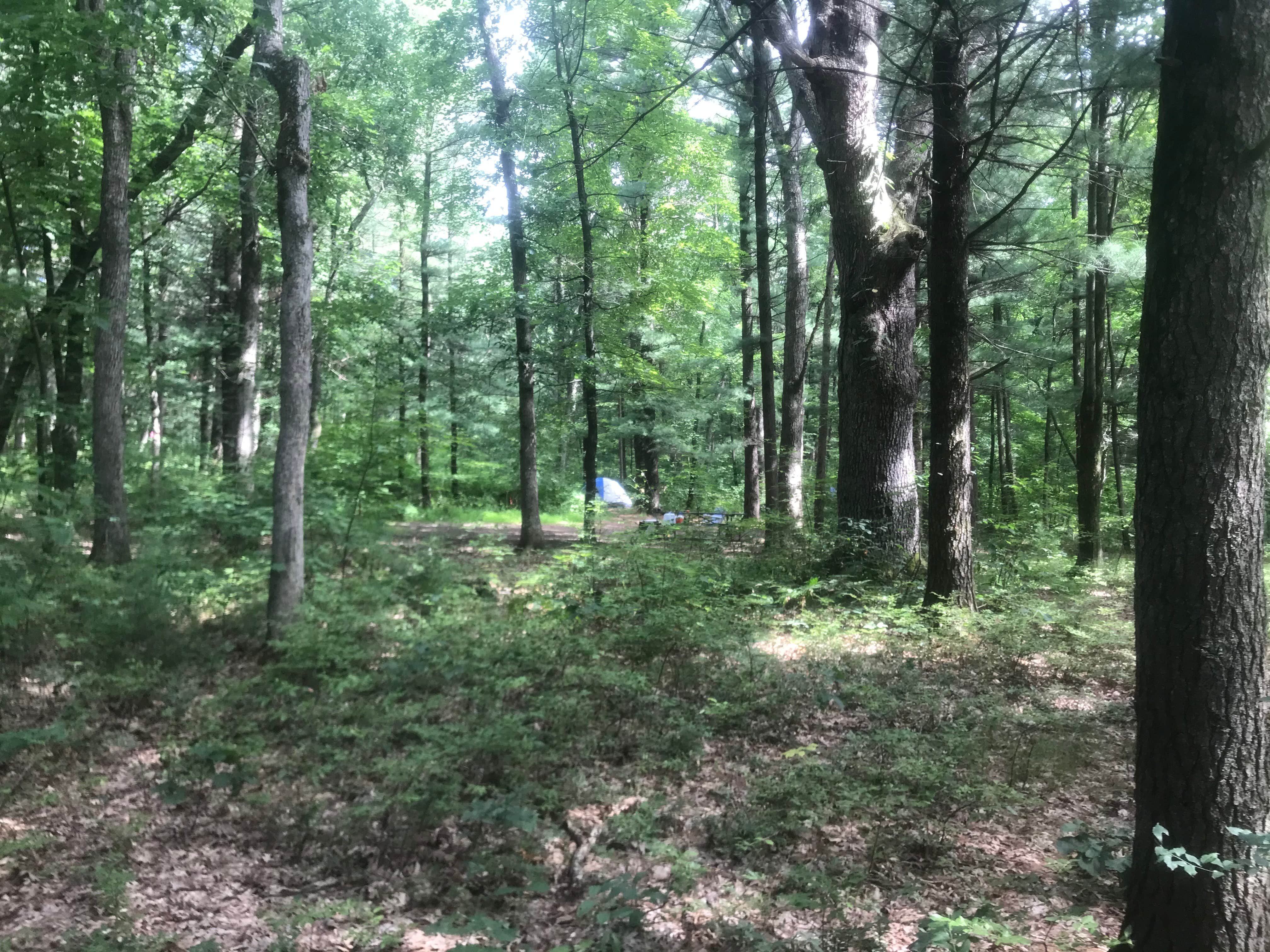 Camper-submitted photo at Cliffwood Campground — Mirror Lake State Park near Wisconsin Dells, WI