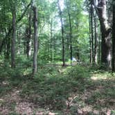 Review photo of Cliffwood Campground — Mirror Lake State Park by Krista T., September 16, 2020