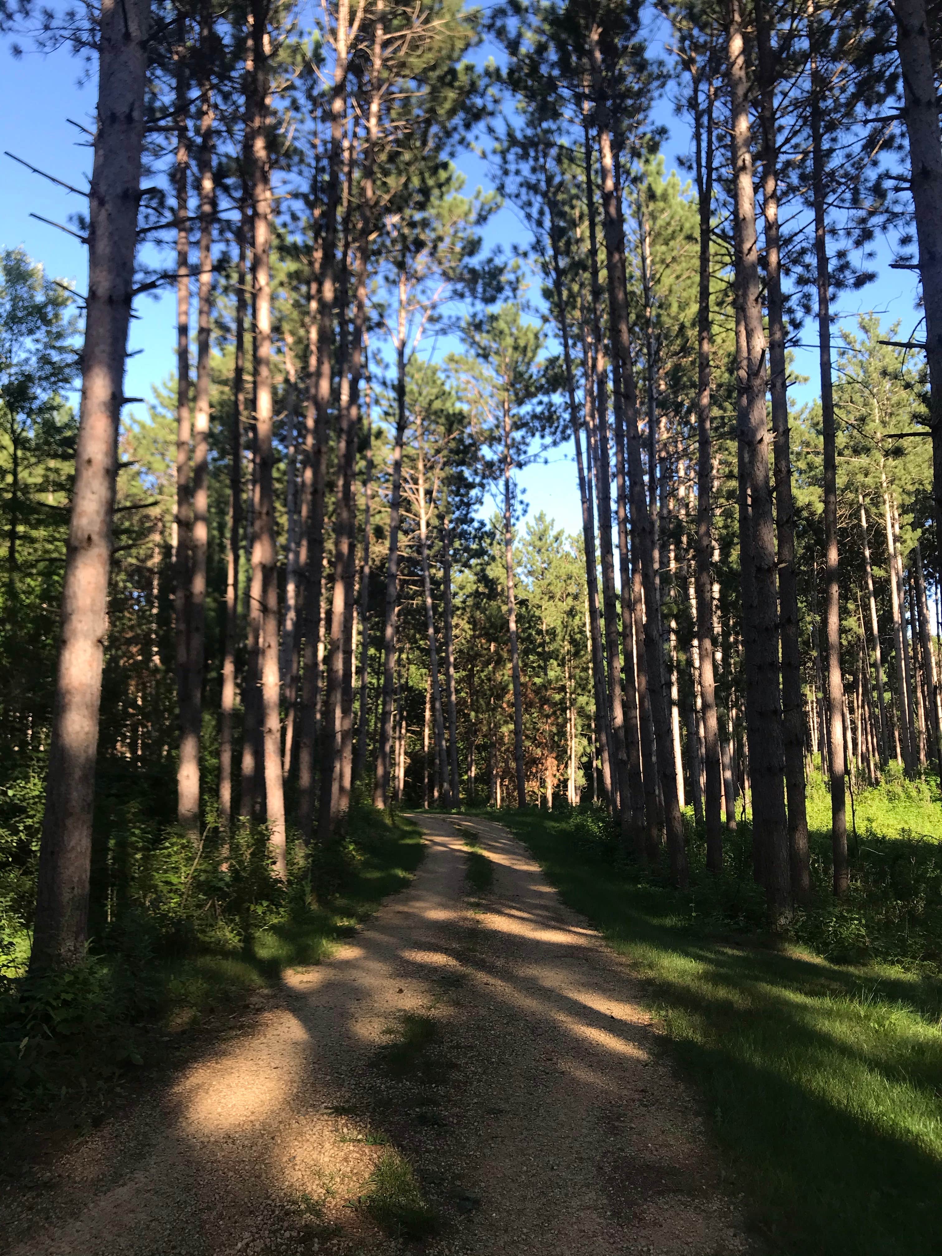 Camper submitted image from Lily Springs Regenerative Farm - 2