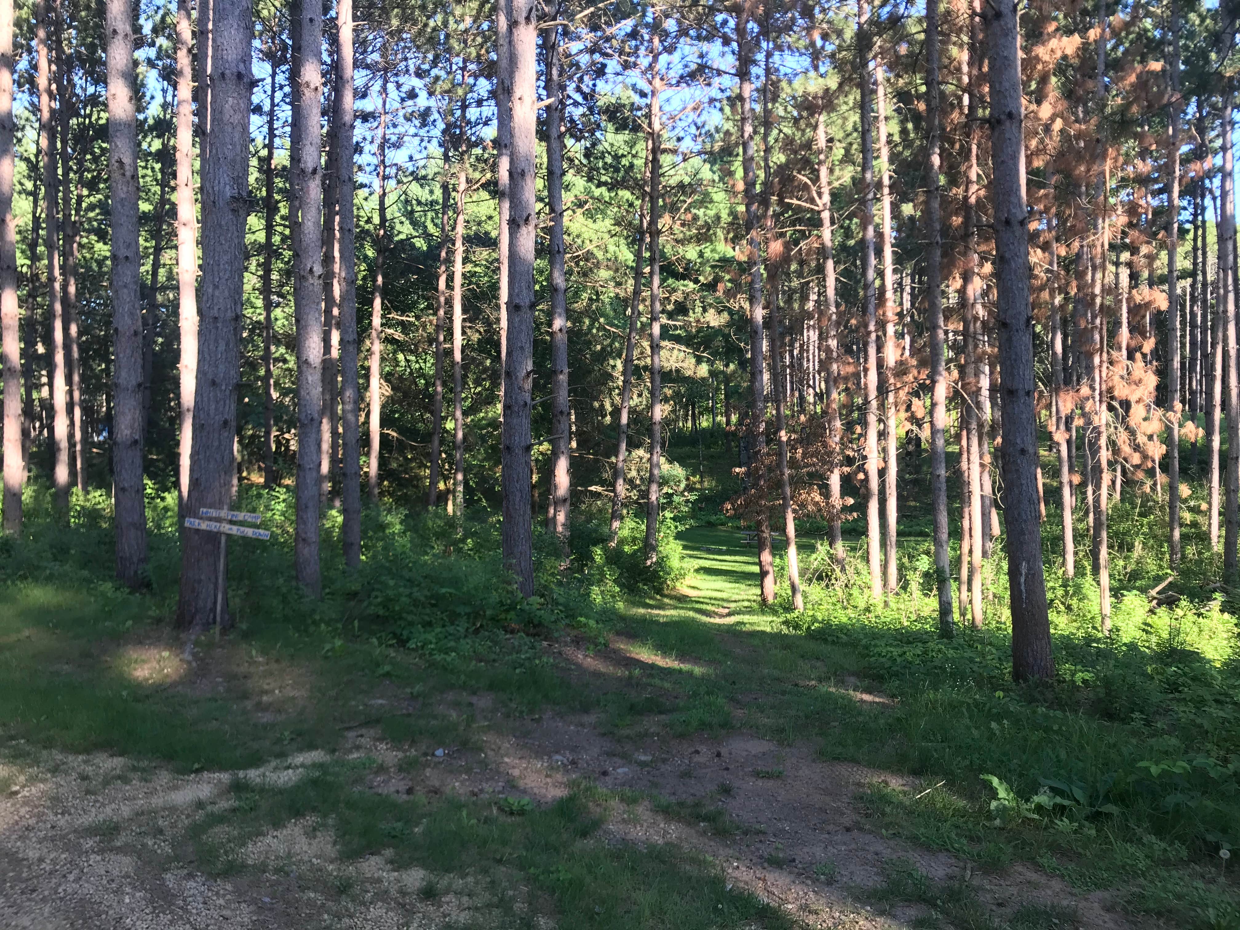Camping near Veterans Campground On Big Marine Lake: Lily Springs Regenerative Farm, Dresser, Wisconsin